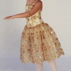 Beautiful Gold sequins costume dress